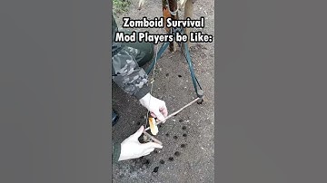 Survival Mods        #projectzomboid #memes #funny #gaming