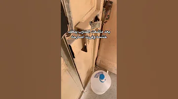 بنت شافت مندوب توصيل يحفر بخشمه وما خلتها بخاطرها 