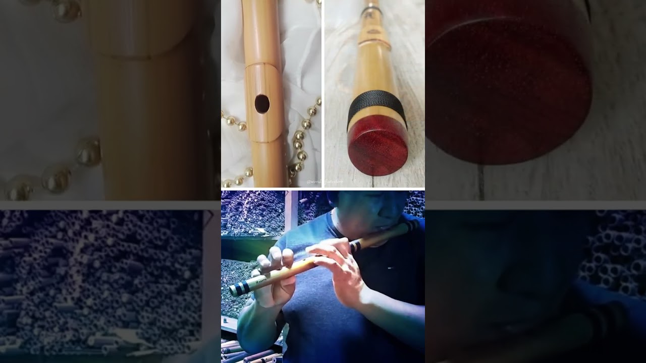 Transverse Flute ~ Jazz Time #jazzflute #shorts
