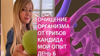 ОЧИЩЕНИЕ ОРГАНИЗМА ОТ ГРИБОВ #кандида . МОЙ ОПЫТ ДЕНЬ 6