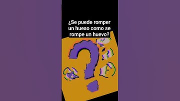 Primer capítulo de preguntas estúpidas a ChatGPT