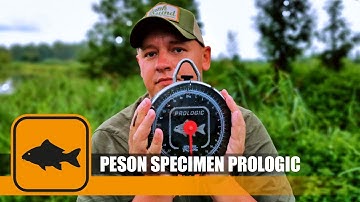 Peson Specimen de Prologic : la vérité si je mens !