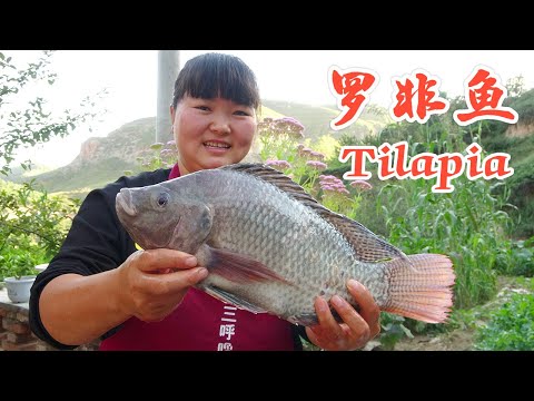 Video: Gourmet Tilapia Fisk Oppskrifter