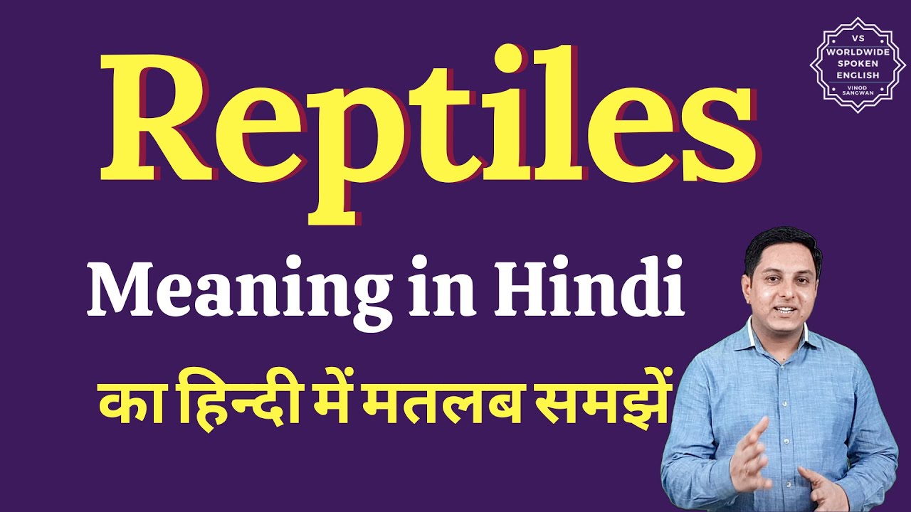 Reptiles meaning in Hindi | Reptiles ka matlab kya hota hai | English