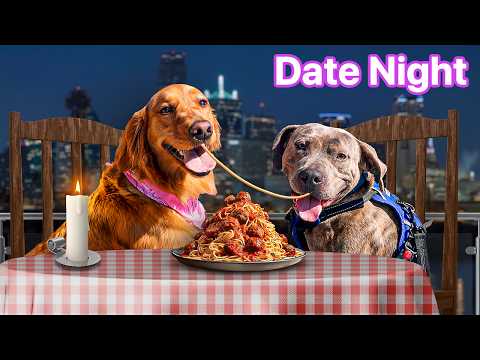 I Sent My Dog on a Blind Date... 🐶