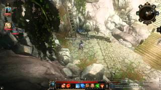 Divinity Original Sin. Enhanced Edition. Квест Подземелья-близнецы.