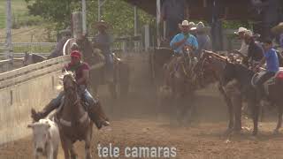 COLEADERO QUINSEÑERA EN LIENZO CHARRO EL ALTO EN SCURRY TX 9/4/2021  JORGE JUAREZ