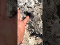 Define işaretlerini inceliyoruz işaretli kayalar ve harita mevcut
