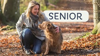 My Partner with the grey Snout - what your SENIOR Dog needs now by TRIXIE UK 457 views 1 year ago 2 minutes, 30 seconds