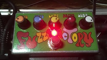 Fuzz Factory clone & Whammy Ricochet (47-sec video)