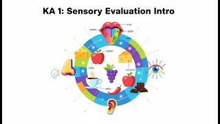 OFD 210: KA 1: Introduction to Sensory Evaluation of Food