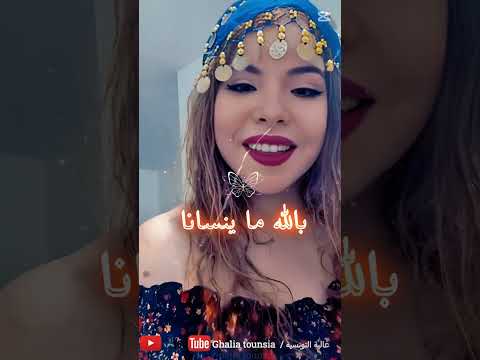     غالية التونسية 2025