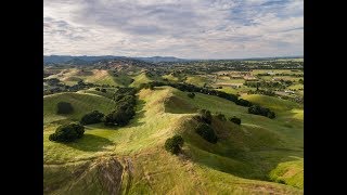 California Property | Pippo Ranch, Vacaville California