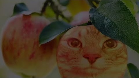 OOG + 2 vs N1 in ctf, psychopath Alina, pro k4nex and dima