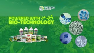 How Biotechnology Works in the Field | Turrima Agro Biotech