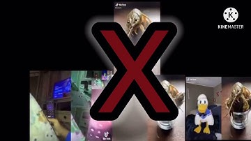 I INTERRUPT ANTHONY LEWIS JR