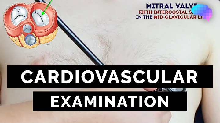 Cardiovascular Examination | OSCE Guide | UKMLA | CPSA - DayDayNews