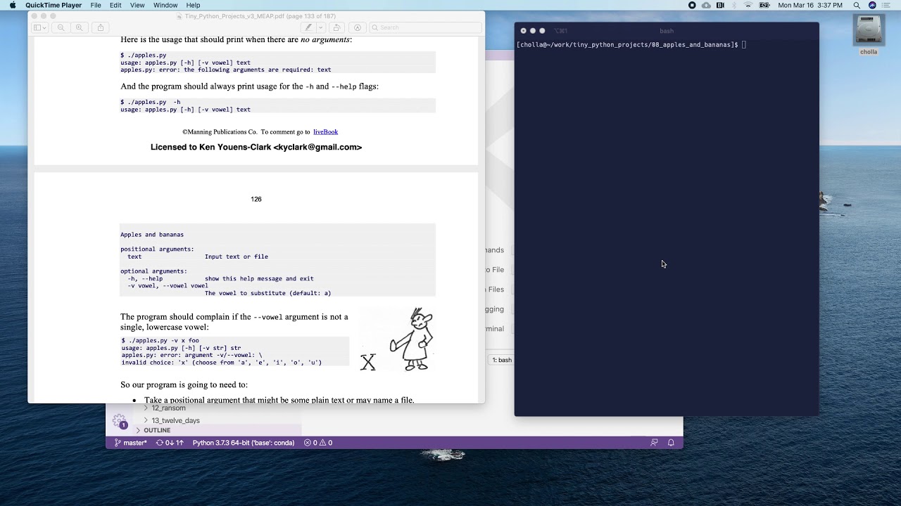 Tiny Python Projects Ch 8: Apples and Bananas Intro - YouTube