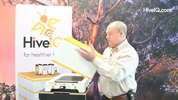 Introduction to the HiveIQ Beehive