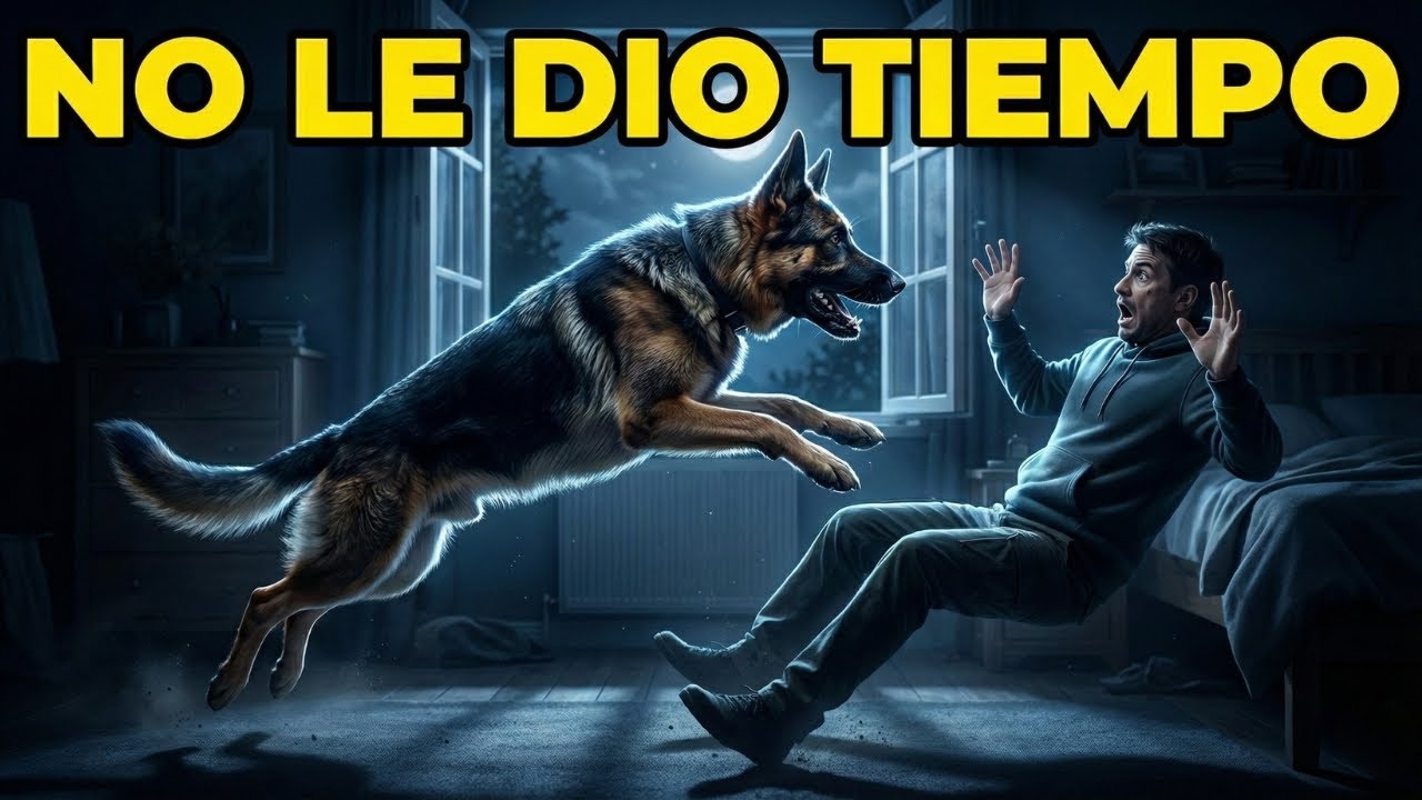 No Le Dio Tiempo (Pastor Alemán)