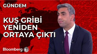 Kuş Gribi Yeniden Ortaya Çıktı