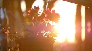 Alkaunu adho'a cover Muhajir Lamkaruna