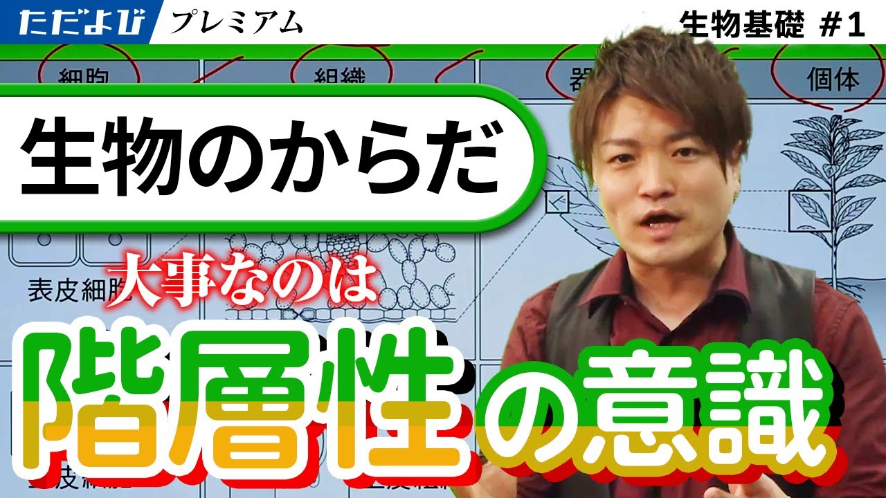 ただよび生物基礎 The Body of Living Things [Basics of Biology] #1 - YouTube