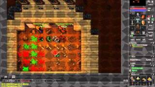 Tibia - Rookgaard Fun