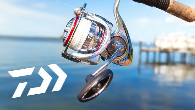 Daiwa Procyon Review: Pros, Cons, & On-The-Water Experience 