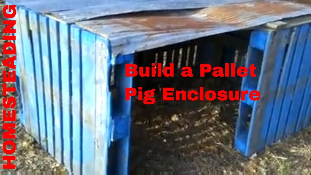 Pallet Project Pig / Hog House YouTube