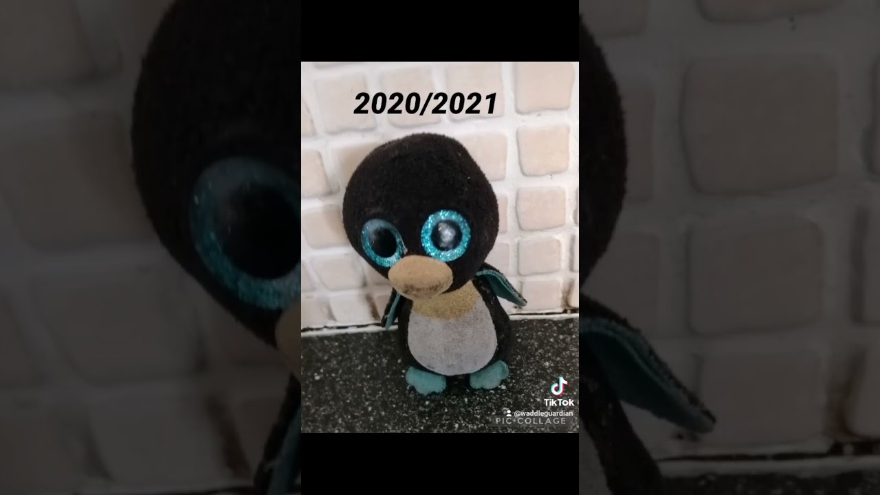 Evolution Of Waddle