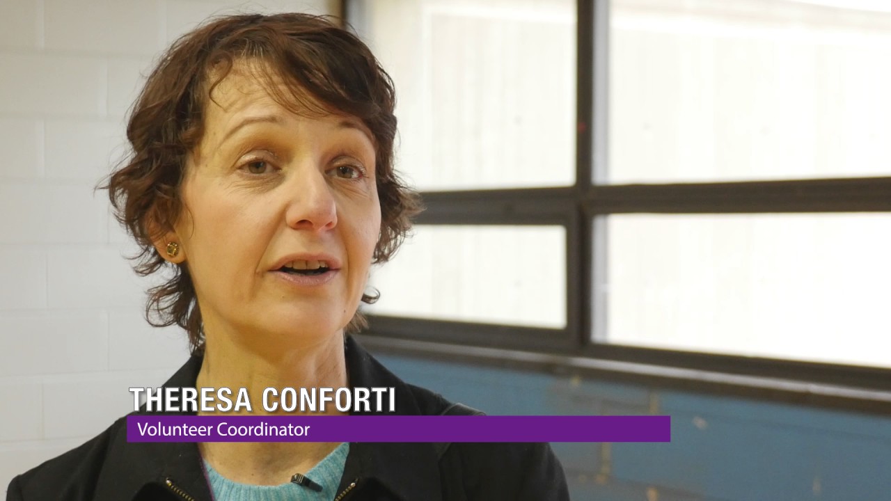 Dog Therapy Certification Near Me