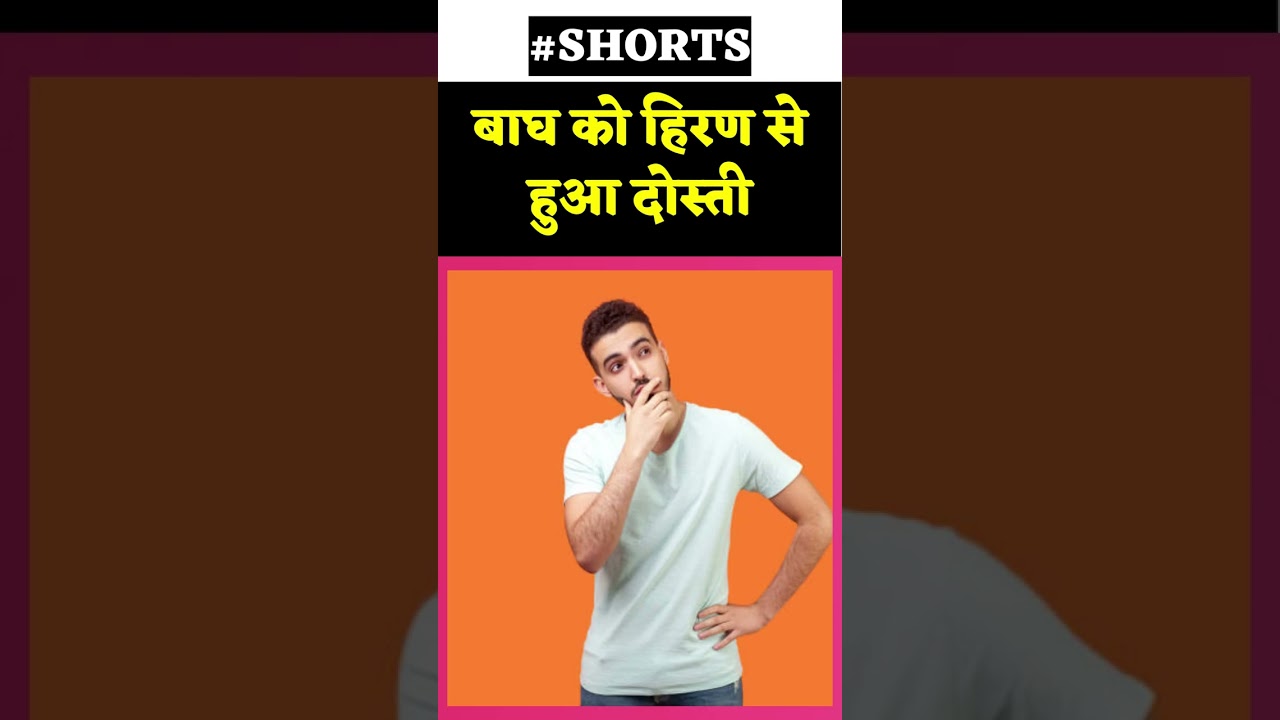 बाघ को हिरण से हुआ दोस्ती 