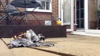 Fire burning paper - Time Lapse (1)