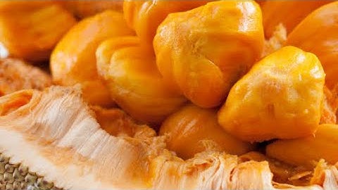 Chempedak Fruit Opening Cempedak / Artocarpus integer