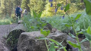 Colorado advocates say impacts of National Park Service layoffs will be ‘visceral’