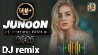 Junoon bollywood 💯dj remix 💯2025 💯dj shatturaj 💯 Paldi m 