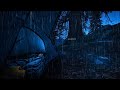Rain Camping in Forest | Deep Sleep, Relaxing Rain Sounds, No Talking