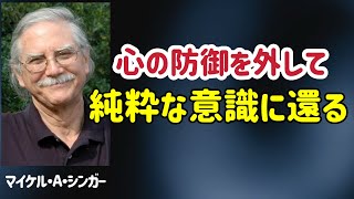 ただ流せば、自由になる/マイケル・A・シンガー/目覚め/覚醒/内側を観る