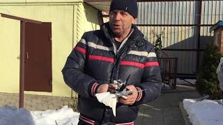 🕊 Ветра нет,  Подкидываем Николаевских голубей. Николаевские голуби 2019 Украина.