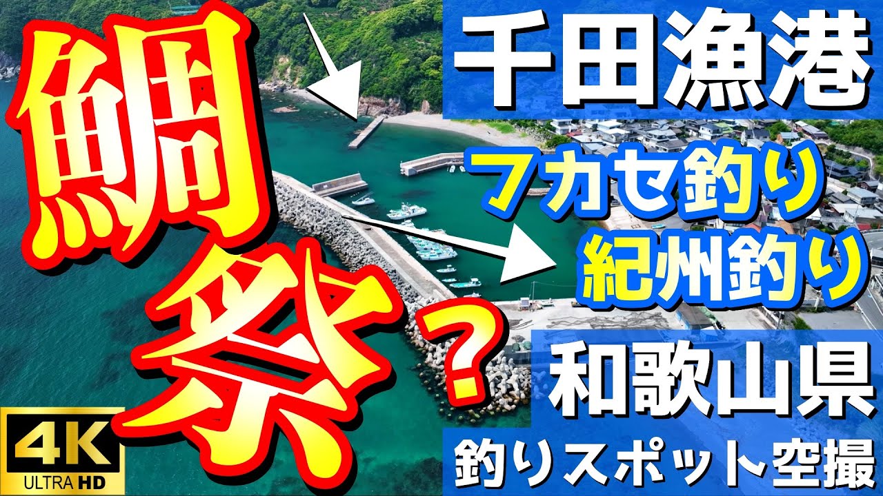 【千田漁港】マジわからん…。鯛祭り？ポイントは主にチヌ、グレ。釣りスポット空撮【和歌山県 有田市】4K