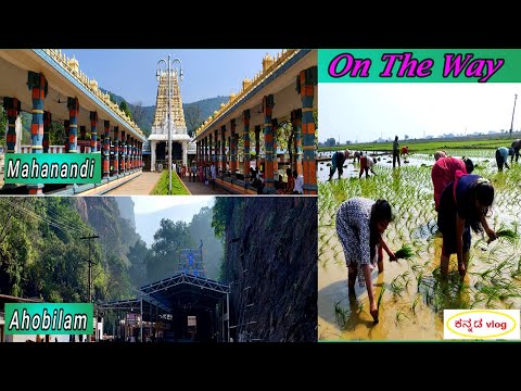 Rayalaseema EP4| Ahobilam[ Detailed Tour Vlog ]Mahanandi| Kannada Travel Vlog|Andhra Pradesh Tourism