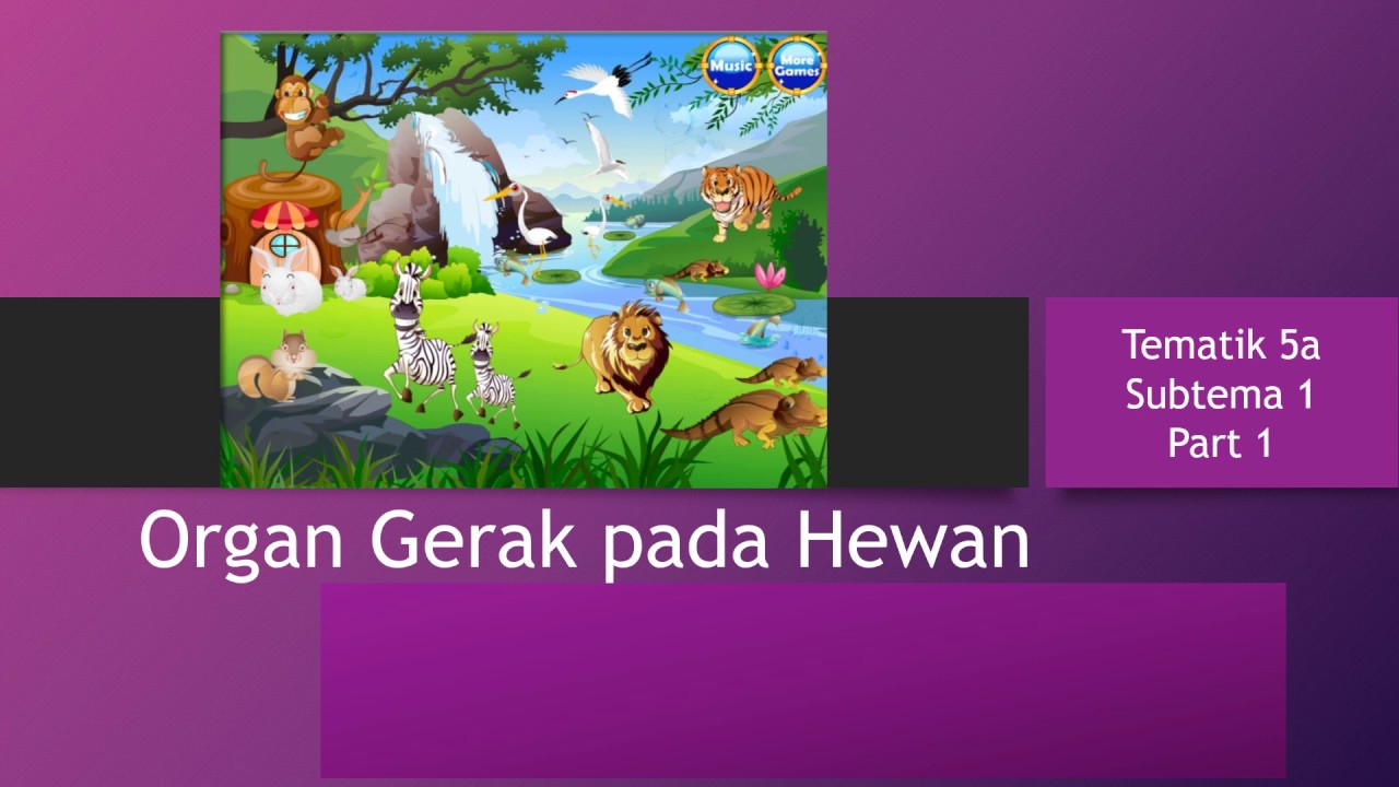  organ  gerak  pada hewan  Alat Gerak  Hewan  Vertebrata YouTube