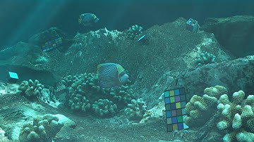 UnderwaterIntegrator | Jerlov water types (IB, II, III, 1C, 3C, 5C) | 19/12/2025