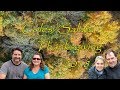 Thanksgiving 2018