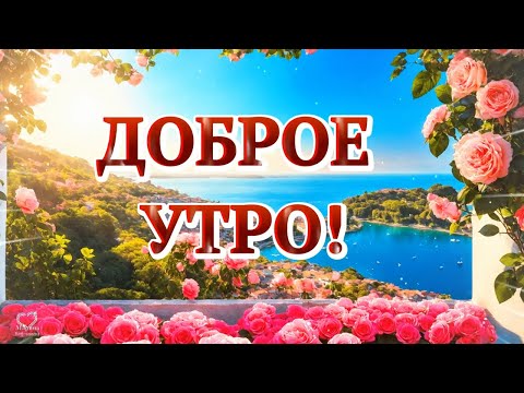 ДОБРОЕ УТРО!🌹 ПРЕКРАСНОГО ДНЯ!🌹 ПУСТЬ С УТРА ВАМ СЧАСТЬЕ УЛЫБНЁТСЯ!🌹💌
