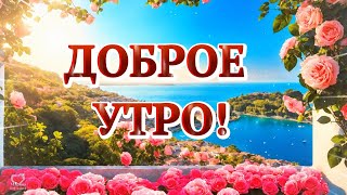 ДОБРОЕ УТРО!🌹 ПРЕКРАСНОГО  ДНЯ!🌹  ПУСТЬ С УТРА ВАМ СЧАСТЬЕ УЛЫБНЁТСЯ!🌹💌