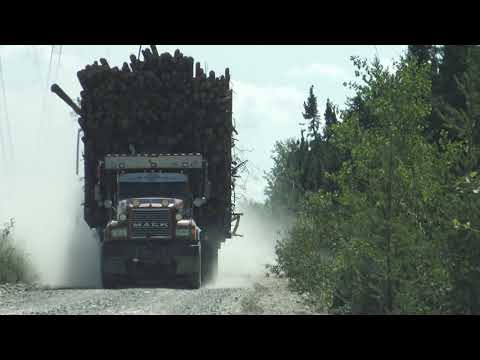 Massive Log Truck, Quebec Province, Canada, Unyielding Motorist Wreck