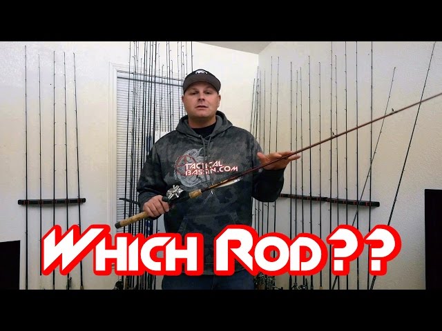 Best Fishing Rods for New Fisherman 