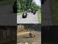 #commando #training #armycamp #motivation #martialarts #tutorial #reels